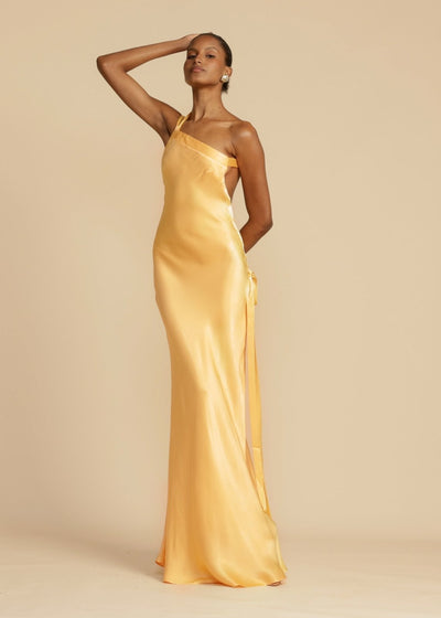 Maxi kjole Rosea Silk med elegante stropper